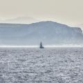 D'Ile en Ile